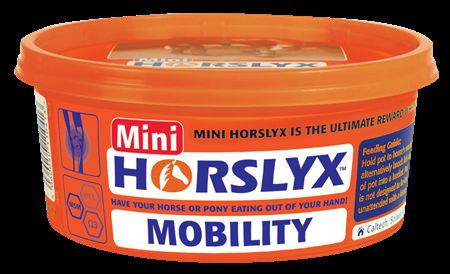 Horselyx Mobility Mini 650gr