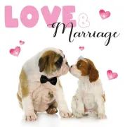 Kort Love & Marriage