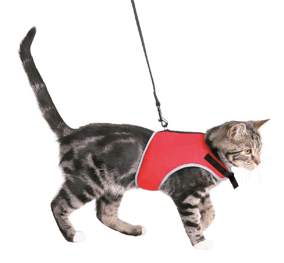 Soft Harness kattesele med elastisk line